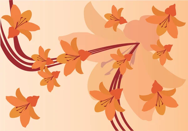 橙色百合鲜花背景 — 图库矢量图片