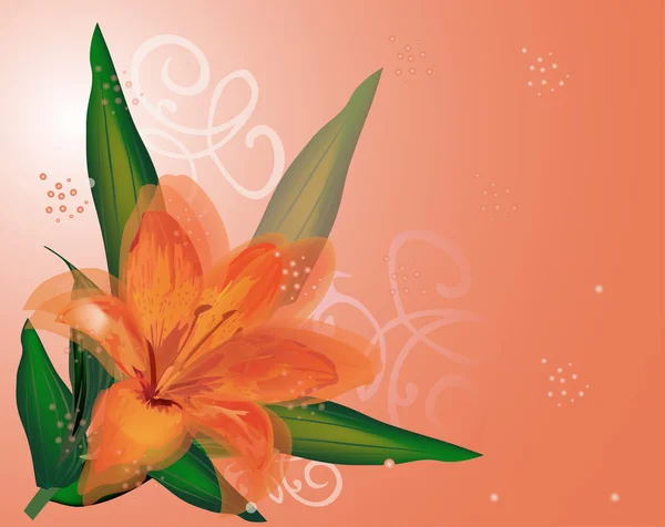 Lily flor no fundo laranja — Vetor de Stock