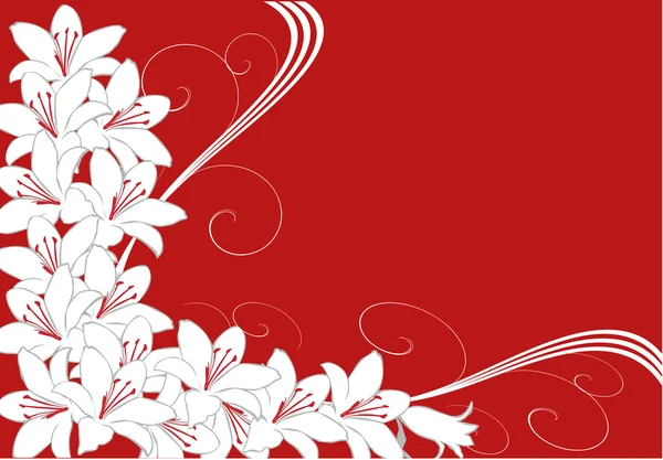 Beyaz Zambak çiçekler kırmızı köşede — Stok Vektör