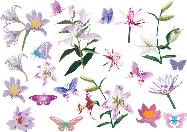 Lily ve kelebek koleksiyonu üzerinde beyaz izole — Stok Vektör