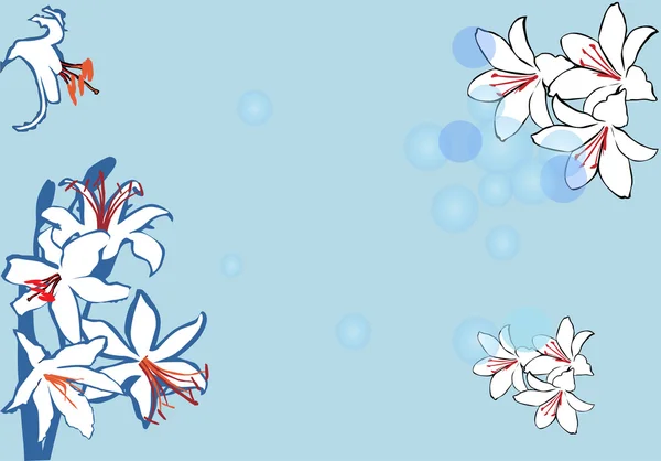 Simple white lily flowers decoration — Stock Vector
