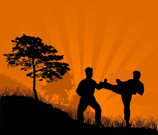 Fighting man silhouetten bij zonsondergang — Stockvector