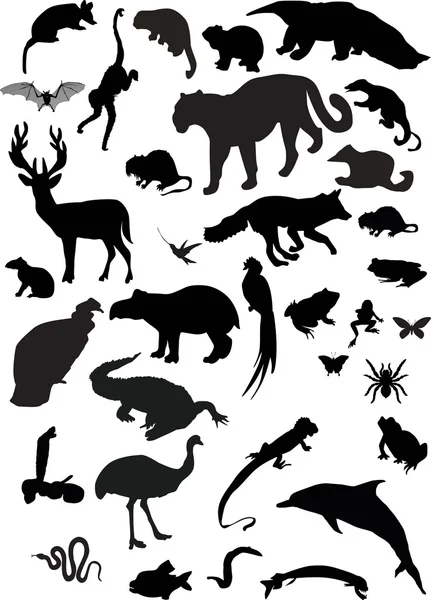 Colección de diferentes siluetas animales — Vector de stock