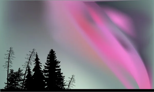 Bomen silhouetten onder aurora — Stockvector