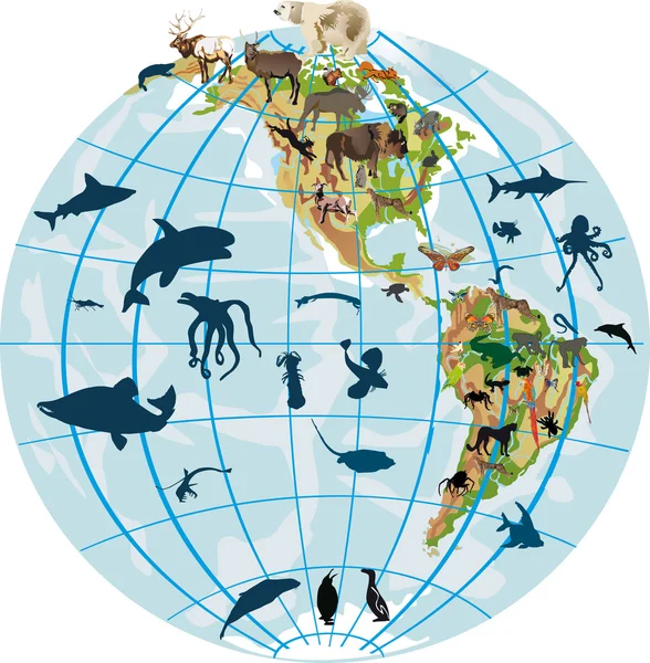 Globe terrestre et différents animaux — Image vectorielle