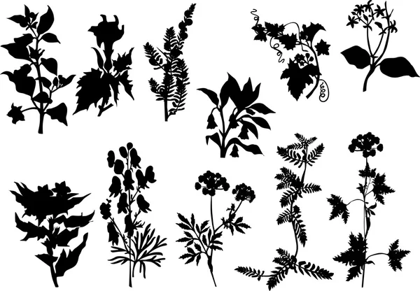 Set of black on white plants — Stock Vector