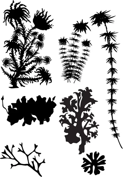 Moss silhouettes isolated on white — Stock Vector