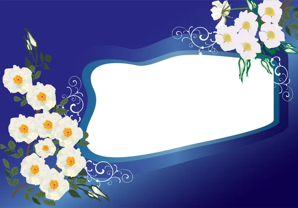 白い野ばらの花とブルー フレームの図 — ストックベクタ