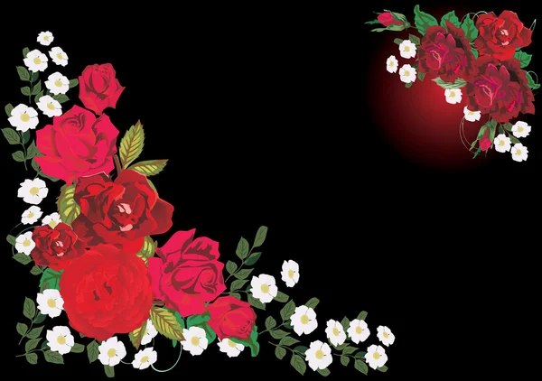 Twee donkere rode roos hoek — Stockvector
