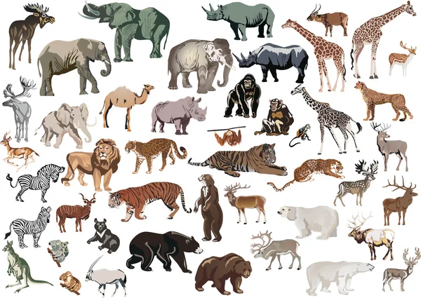 Ізольовані кольорові тварини величезна колекція — стоковий вектор