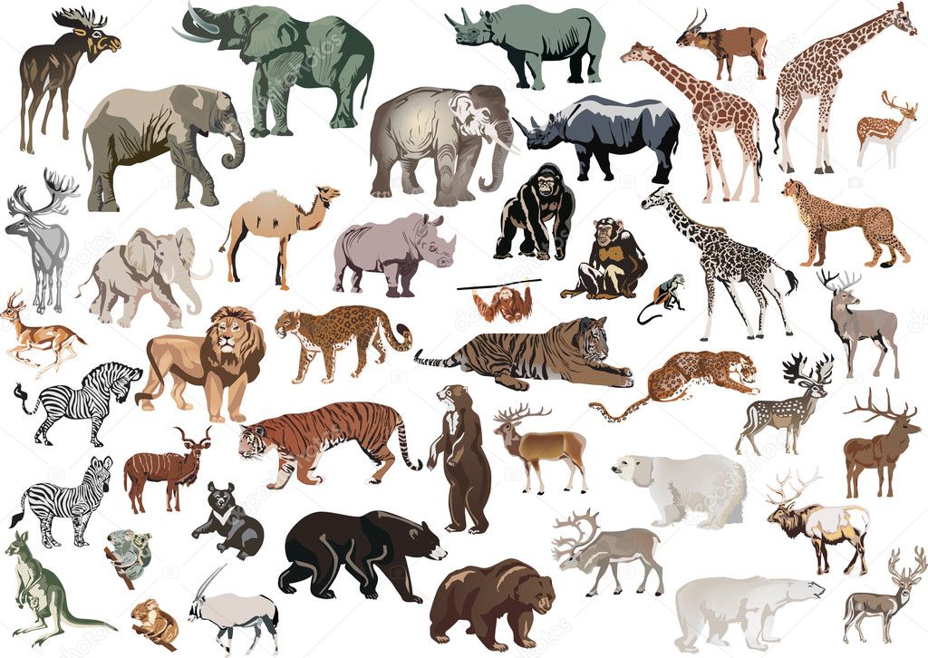 Download áˆ Silhouette Of Animals Stock Vectors Royalty Free Animal Silhouettes Pictures Download On Depositphotos