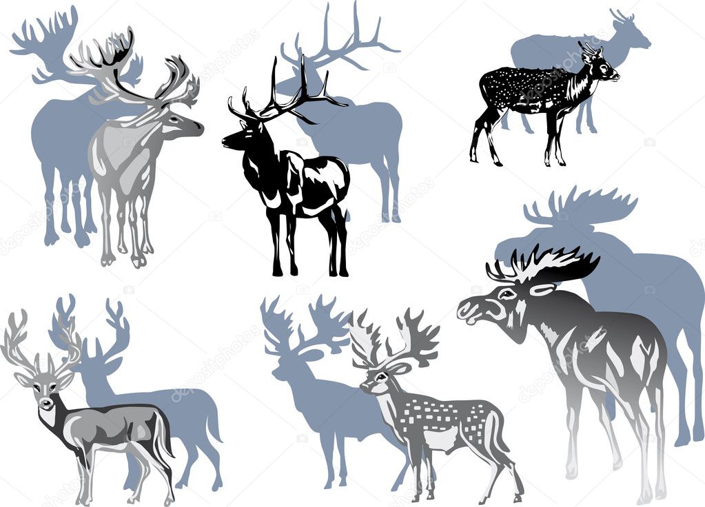 six grey deers on white