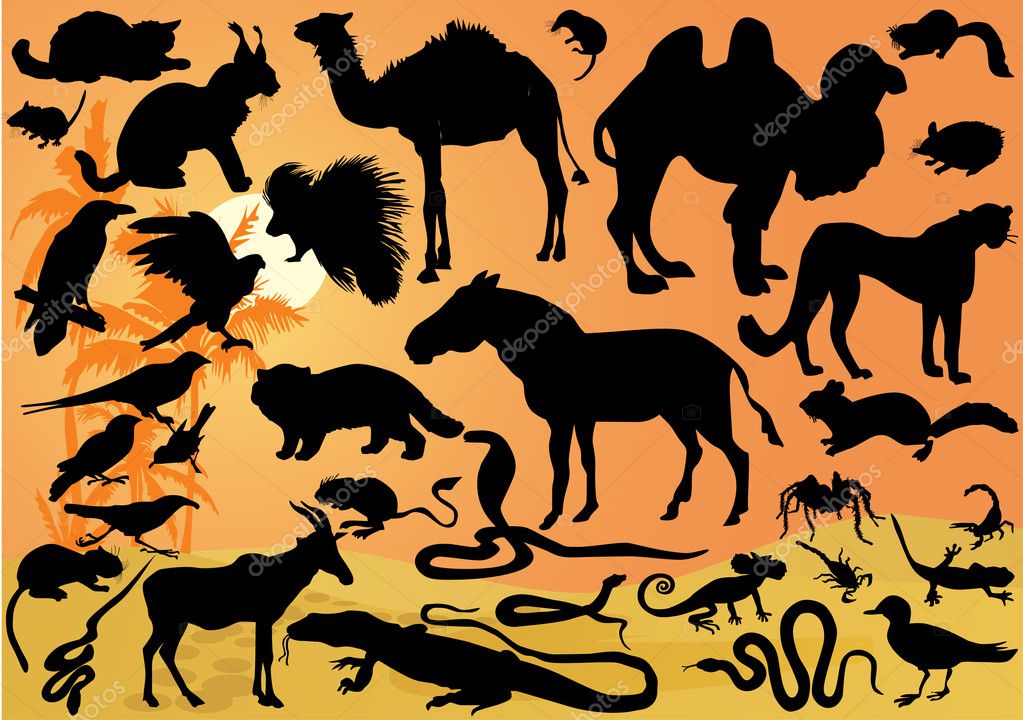 Download Set of desert animals illustration ⬇ Vector Image by © Dr.PAS | Vector Stock 6649361