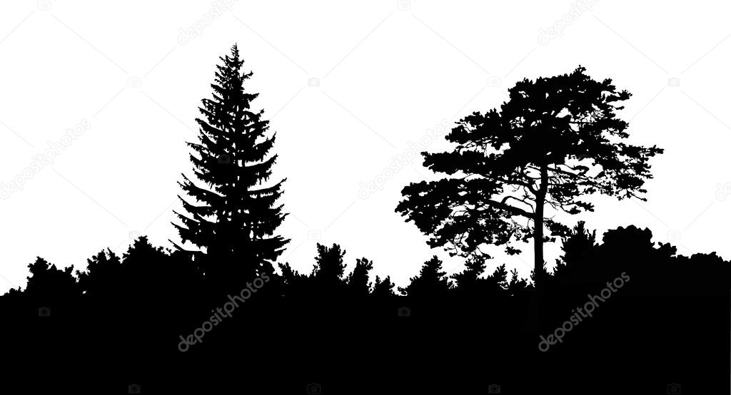 forest silhouette isolated on white