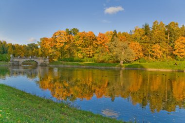 Old bridge in autumn park clipart