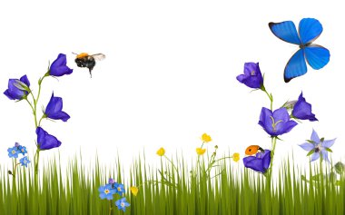 Flowers and insects isolated on white clipart