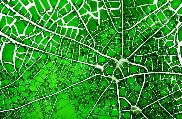 Yeşil hasarlı arka plan — Stok fotoğraf
