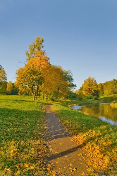 Chodnik w parku złotej jesieni — Zdjęcie stockowe