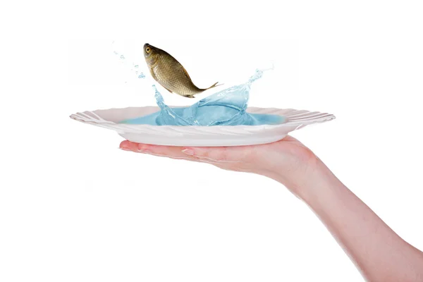 Hand with plate and jumping fish — Stock Photo, Image