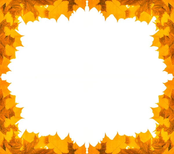 Golden maple foliage frame — Stock Photo, Image