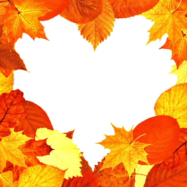Heart shape red and yellow leaves frame — Stock Photo, Image