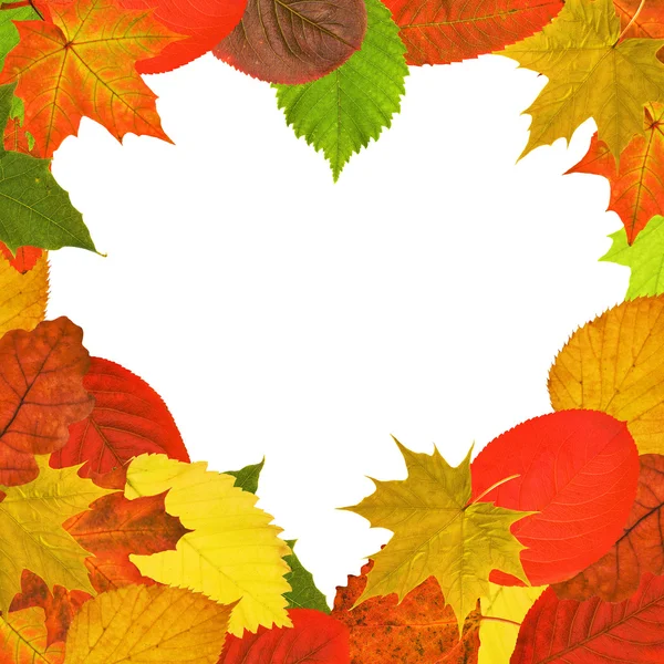 Heart shape bright autumn leaves frame — Stock Photo, Image