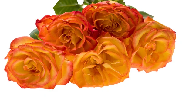 Rosa rossa e gialla bouquet isolato su bianco — Foto Stock