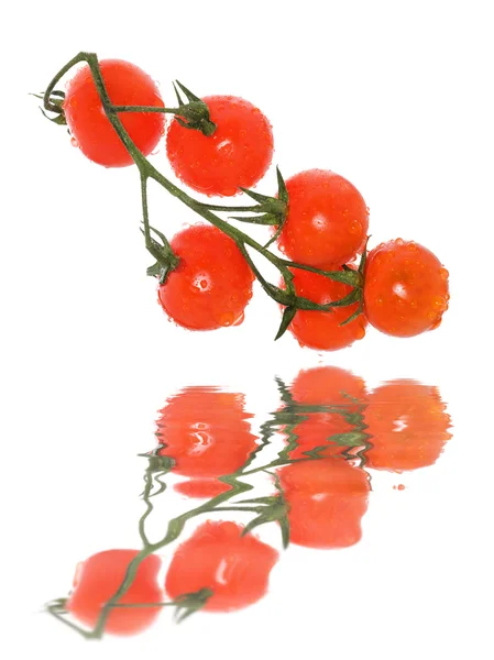 Pomidor, krople i refleksji — Zdjęcie stockowe