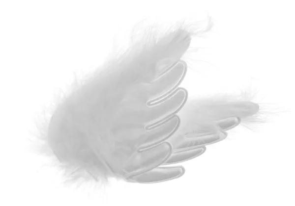 Na białym tle skrzydeł szary — Zdjęcie stockowe