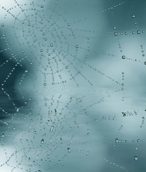 滴と web の反射 — ストック写真