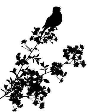 Tek kuş ve çiçek dalları