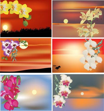 set of orchid flowers at sunsets clipart