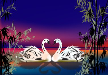 two white swans in bamboo bush clipart