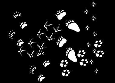 white animals footpath clipart