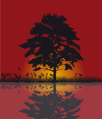 reflejo puesta del sol y el árbol rojo