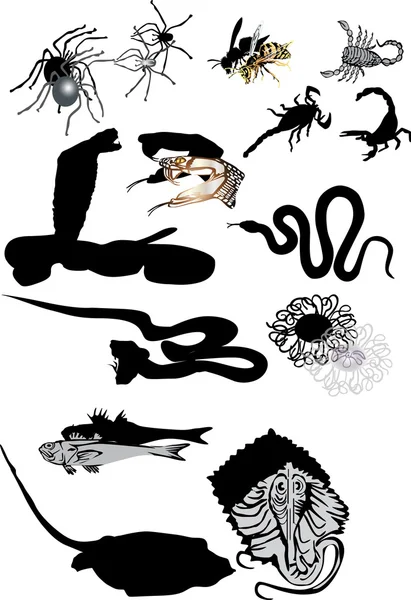 Ensemble d'animaux toxiques isolés sur fond blanc — Image vectorielle