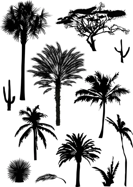 Коллекция пальмовых силуэтов — стоковый вектор