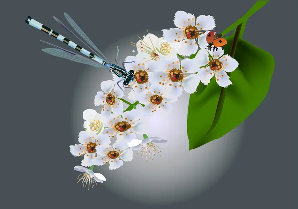Illustration mit weißen Blüten, Libelle und Käfer — Stockvektor