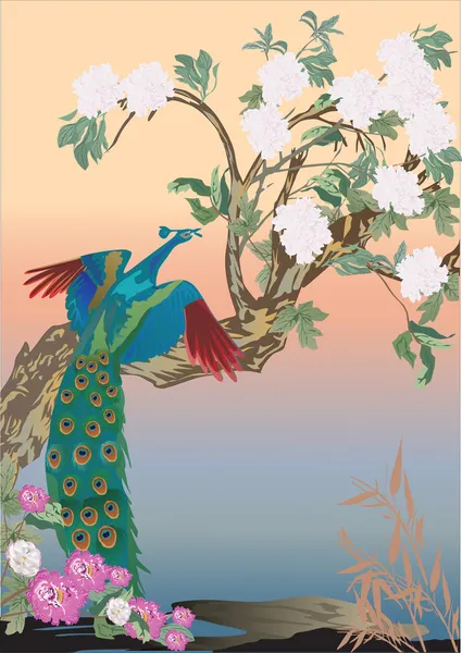Flor de árbol e ilustración de pavo real — Archivo Imágenes Vectoriales