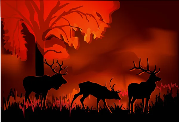 Jelenie w lesie czerwony ilustracja zachód — Wektor stockowy