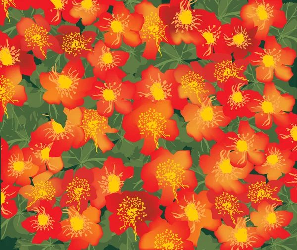 Rote Blüten und grüne Blätter Hintergrund — Stockvektor