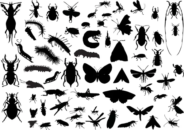 Many different isolated insects — Stock Vector