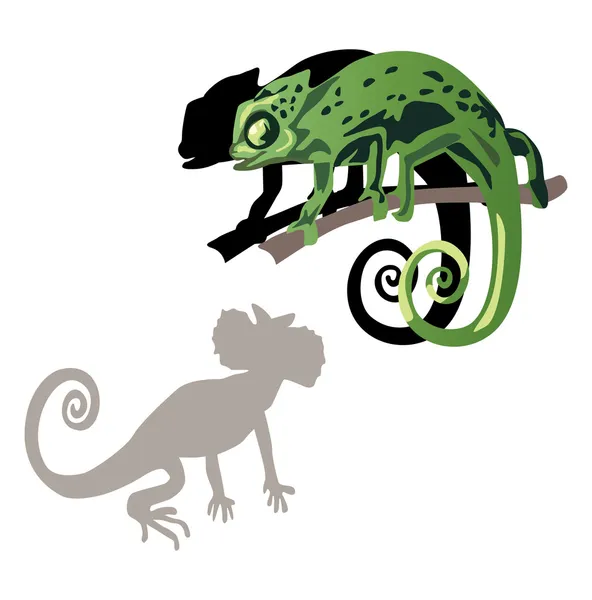 Ilustracja na białym tle kameleon — Wektor stockowy