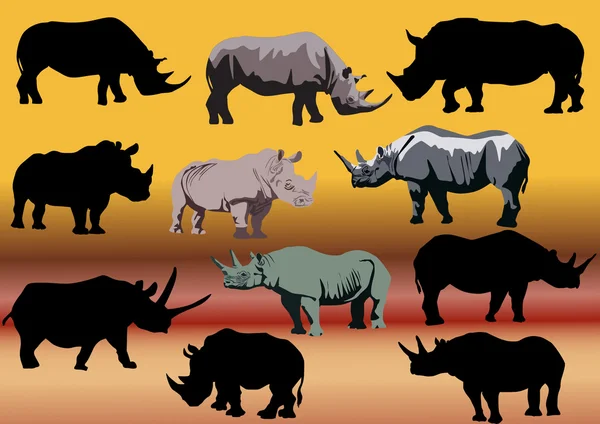 Uppsättning av elva noshörningar — Stock vektor