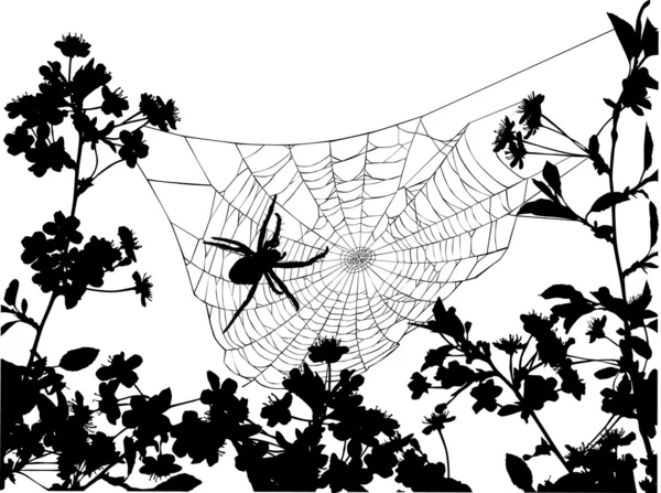 Kiraz çiçekleri arasında örümcek ağı — Stok Vektör