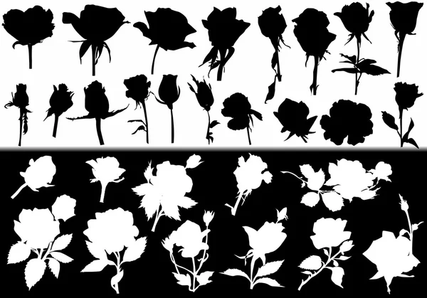 Flor rosa colección de siluetas blancas y negras — Vector de stock