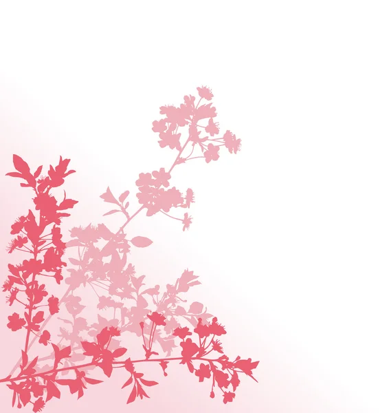 Tři růžové sakura větve ilustrace — Stockový vektor