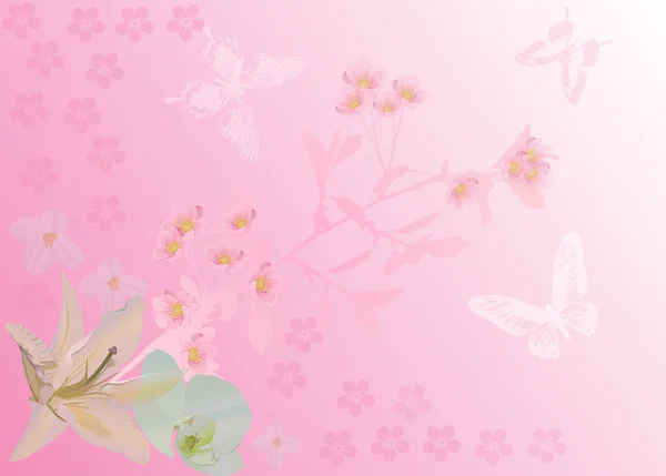 Achtergrond met cherry bloemen en vlinder — Stockvector