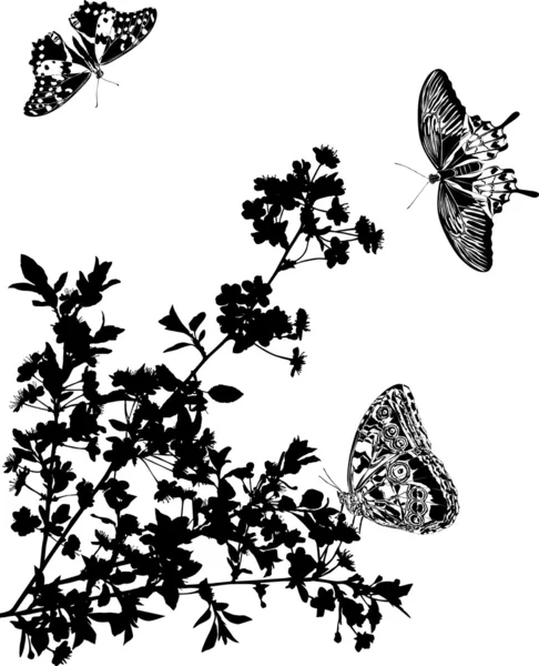 Sakura bloemen en vlinders silhouetten — Stockvector