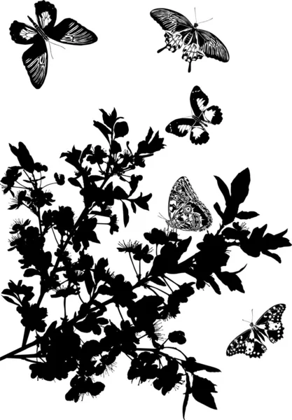 Flores de cerezo y cinco mariposas — Vector de stock